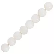 Natural White Shell Beads 3mm x25