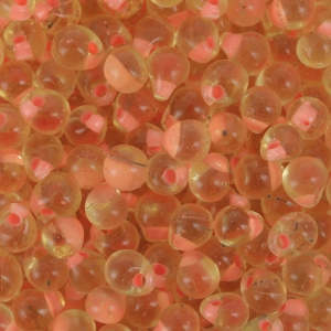 Miyuki Fringe beads 3.4 mm DPF09 - Coral Lined Light Topaz x8g