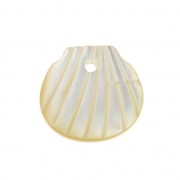 Mother-of-pearl Sequin shell shaped 9x10 mm Ivory x1