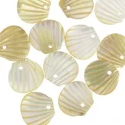 Mother-of-pearl Sequin shell shaped 9x10 mm Ivory x1