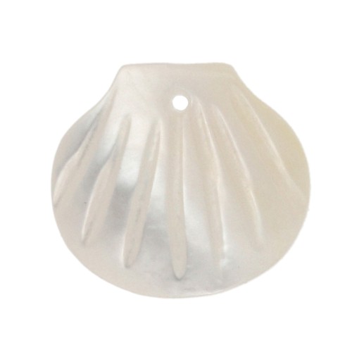 10x11 mm seashell sequin - Mother-of-pearl x1
