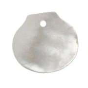 10x11 mm seashell sequin - Mother-of-pearl x1