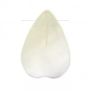 Mother-of-pearl Petal 13.5x10 mm Naturel x1