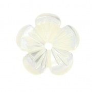 Mother-of-Pearl Flower 10 mm Natural x1|raw }}