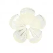 Mother-of-Pearl Flower 10 mm Natural x1