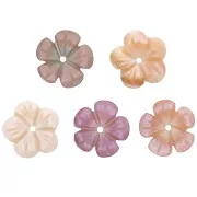 Mother-of-Pearl Flower 10 mm Pink x1