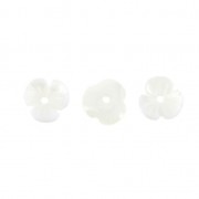 Mother-of-Pearl Flowers 8 mm Natural x4|raw }}