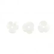 Mother-of-Pearl Flowers 8 mm Natural x4