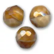 Fire Polished faceted round beads 12mm Cream Caramel x5