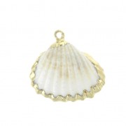 Genuine seashell pendant  20-30 mm Natural / Gold Tone x1