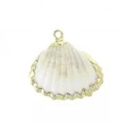 Genuine seashell pendant  20-30 mm Natural / Gold Tone x1