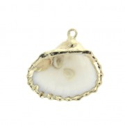 Genuine seashell pendant 20-30 mm Natural / Gold Tone x1