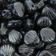 Shell Beads