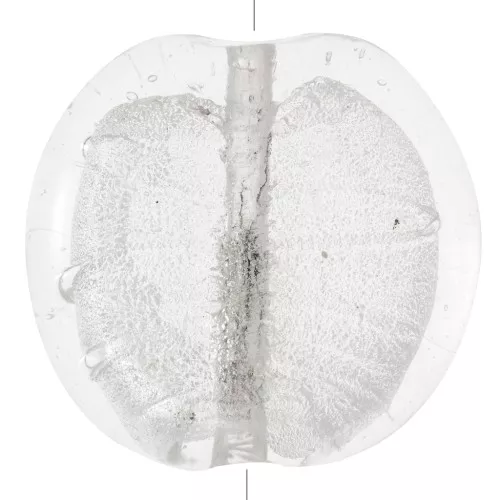 Grand Silver foil puck 35mm Crystal x1