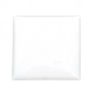 Magnifying cabochons