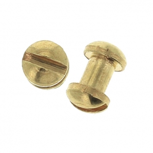 Screw-on rivet clasp 4 mm for a 5 mm lace - fine Gold plated x2