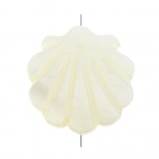 Flat 14.5mm Bead - mother-of-pearl - Scallop Pattern - Ivory x1|raw }}