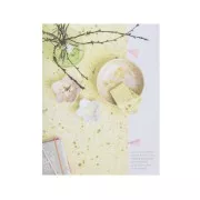Le petit livre de couture de Rico n°5 - Crafted Nature - Book in French x1