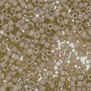Miyuki Delica Duracoat 11/0 DB2363 - Opaque Dyed Oyster x8g