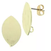 Striated oval brass earstuds to decorate 11x20 mm Gold Tone x2