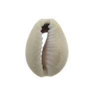 Natural Cauri/Puka Shell for DIY jewelry creation - 10 to 14 mm x1|raw }}