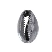 Cauri/Puka Shell for DIY jewelry creation - 12 to 20 mm - Black x1