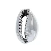 Cauri/Puka Shell for DIY jewelry creation - 12 to 20 mm - Silver Tone x1