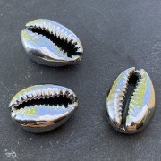 Cauri/Puka Shell for DIY jewelry creation - 16 to 23 mm - Silver Tone x1