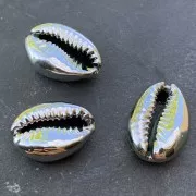 Cauri/Puka Shell for DIY jewelry creation - 16 to 23 mm - Silver Tone x1