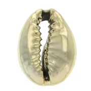 Cauri/Puka Shell 16 to 23 mm - Fine Gold Plated x1
