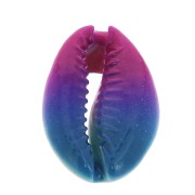 Half-shell Cauri with a colour gradation from Pink to Blue - 20 to 26 mm x1|raw }}