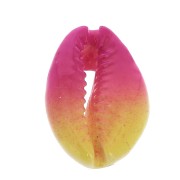 Half-shell Cauri with a colour gradation from Pink to Yellow - 20 to 26 mm x1|raw }}