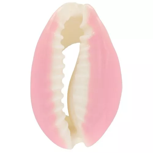 Cauri shell with epoxy resin for DIY jewelry creation - 20 / 25 mm - Light Pink x1