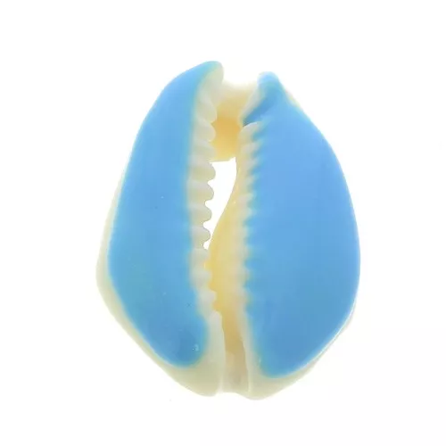 Cauri shell with epoxy resin for DIY jewelry creation - 20 / 25 mm - Blue x1