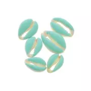 Cauri shell with epoxy resin for DIY jewelry creation - 20 / 25 mm - Sky Blue x1