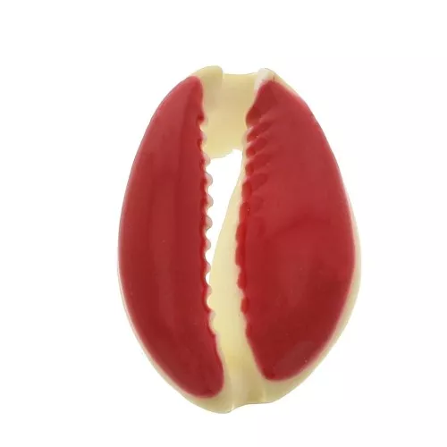 Cauri shell with epoxy resin for DIY jewelry creation - 20 / 25 mm - Red x1