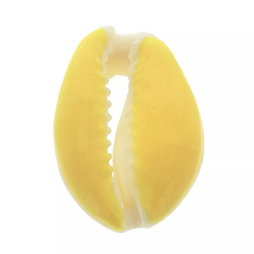 Cauri shell with epoxy resin for DIY jewelry creation - 20 / 25 mm - Yellow x1