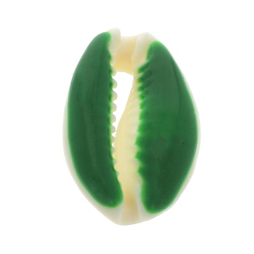 Cauri shell with epoxy resin for DIY jewelry creation - 20 / 25 mm - Green x1