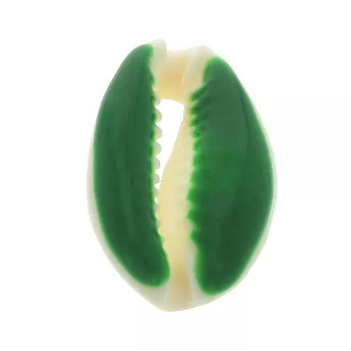 Cauri shell with epoxy resin for DIY jewelry creation - 20 / 25 mm - Green x1
