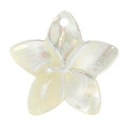 Mother of Pearl pendant 18.5mm for the creation of DIY jewelery - Natural x1