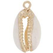Pendant shell cauri 21 mm Natural - Gold x1