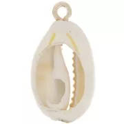 Pendant shell cauri 21 mm Natural - Gold x1