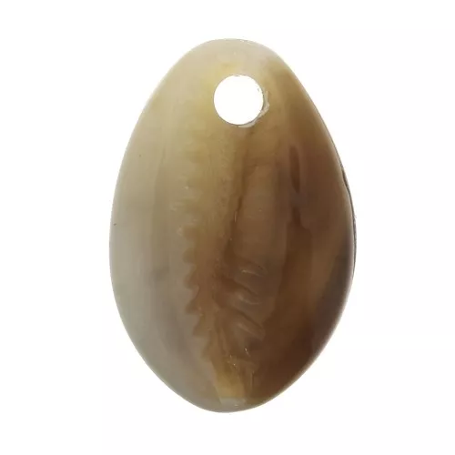 Cauri Shell pendant in cellulose acetate 12x18 mm Brown x1