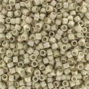 Miyuki Delica 11/0 DB1151 - Galvanized Semi Matte Silver