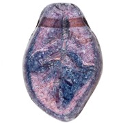 Undulated leaves 14x9mm Lumi Amethyst x20
