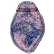 Undulated leaves 14x9mm Lumi Amethyst x20