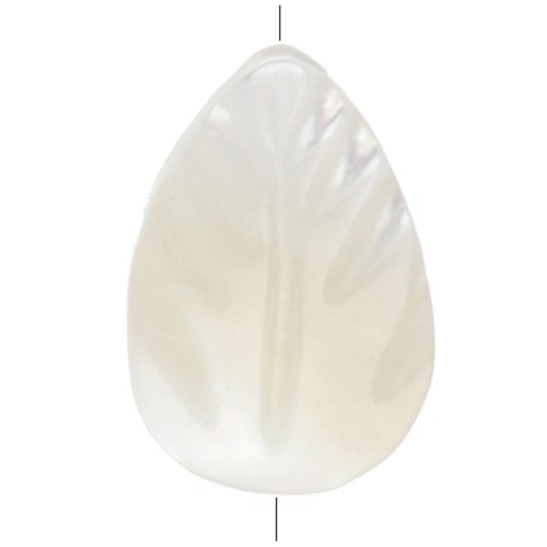 Mother of Pearl Beads - Leaves - 9.5x6. mm - for costume jewelry x4