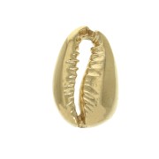 Cauri shell Spacer14x9 mm - Gold Plated 3 microns x1|raw }}