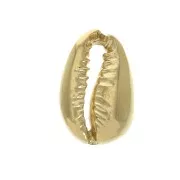 Cauri shell Spacer14x9 mm - Gold Plated 3 microns x1