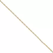 Paloma fine chain 0.6mm Gold filled x 50cm